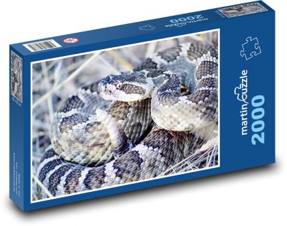 Grzechotnik - wąż - Puzzle 2000 elementów, rozmiar 90x60 cm