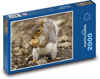 Veverka s ořechem - puzzle 2000 dílků