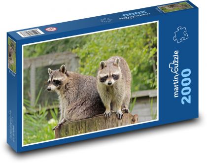 Szop - Puzzle 2000 elementów, rozmiar 90x60 cm