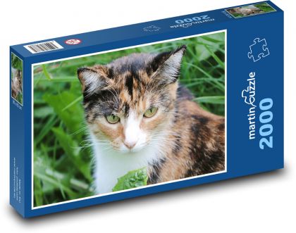 Gepunktete Katze - Puzzle - 2000 Teile