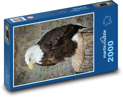 Bird - Eagle - Puzzle 2000 pieces, size 90x60 cm 