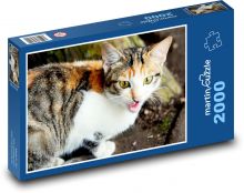 Strakatá kočka Puzzle 2000 - 90x60 cm
