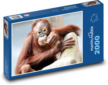 Orang-Utan - Affe - Puzzle - 2000 Teile