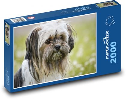 Chihuahua mieszanej rasy - pies - Puzzle 2000 elementów, rozmiar 90x60 cm