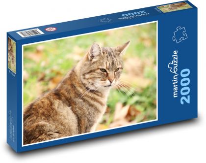Mačka v záhrade - Puzzle 2000 dielikov, rozmer 90x60 cm 