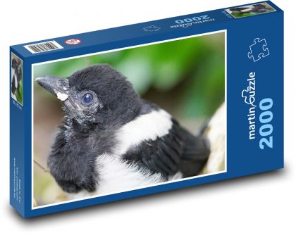 Straka - vták, mláďa - Puzzle 2000 dielikov, rozmer 90x60 cm 