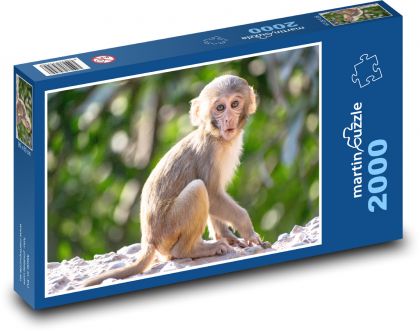 Affe - Schimpanse - Puzzle - 2000 Teile