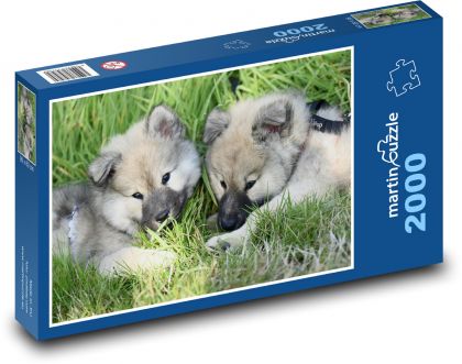 Eurázijskejšie šteniatka - psy - Puzzle 2000 dielikov, rozmer 90x60 cm 