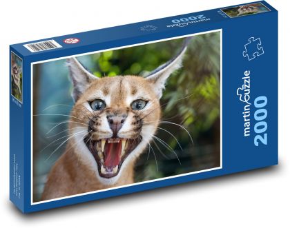 Mačka s dlhou bradou - Puzzle 2000 dielikov, rozmer 90x60 cm 