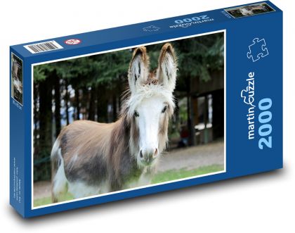 Osol domáci - Puzzle 2000 dielikov, rozmer 90x60 cm 