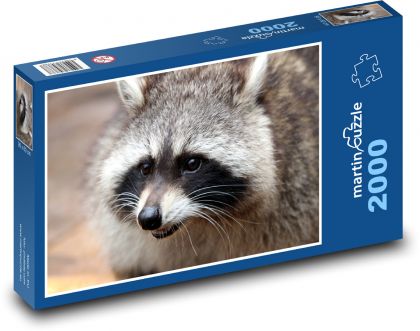 Medvídek mýval - puzzle 2000 dílků