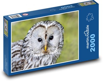 Pustík - Eule - Puzzle - 2000 Teile