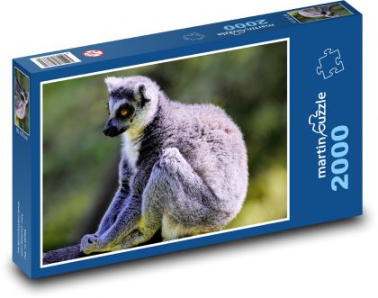 Lemur - kata - Puzzle 2000 dielikov, rozmer 90x60 cm 