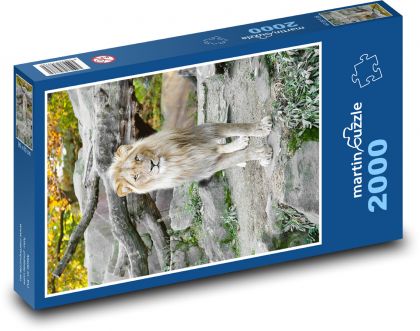 Löwe im Zoo - Puzzle - 2000 Teile