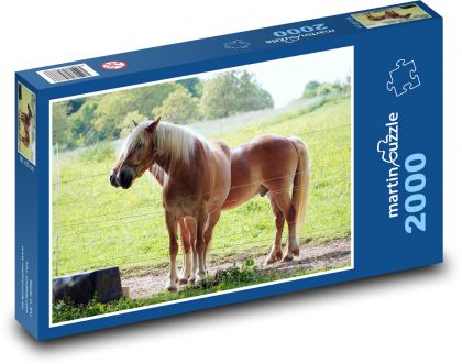 Tiere - Pferde - Puzzle - 2000 Teile