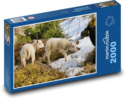 Ein Schaf, ein Lamm. - Puzzle - 2000 Teile