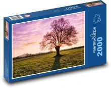 Jasan - strom Puzzle 2000 - 90x60 cm
