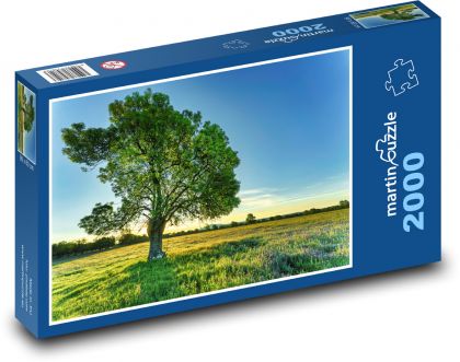 Strom - východ slnka - Puzzle 2000 dielikov, rozmer 90x60 cm 