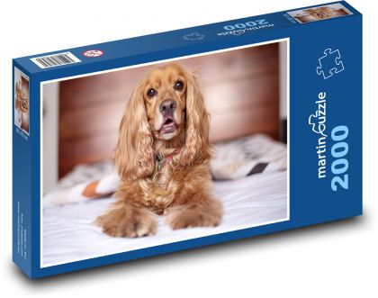 Englischer Cocker Spaniel - Puzzle - 2000 Teile