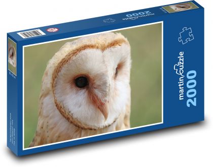 Lesser eagle-owl - Puzzle 2000 pieces, size 90x60 cm 