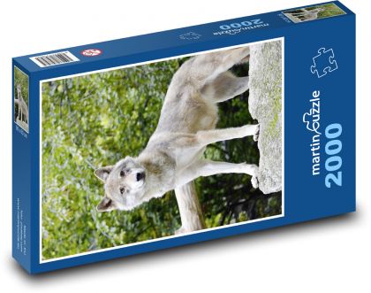 Wolf  - Puzzle 2000 pieces, size 90x60 cm 