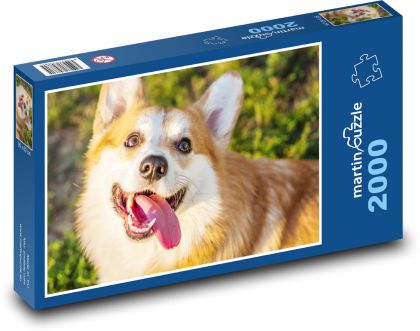 Corgi dog with tongue sticking out - Puzzle 2000 pieces, size 90x60 cm 