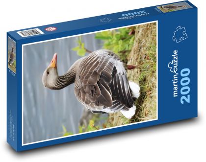 Hus - vták - Puzzle 2000 dielikov, rozmer 90x60 cm 