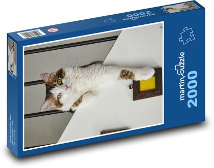 Kočka domací - puzzle 2000 dílků
