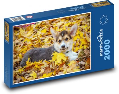 Hund - Corgi in Herbstblättern - Puzzle - 2000 Teile