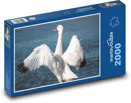 Swan on the Lake - Puzzle 2000 pieces, size 90x60 cm 