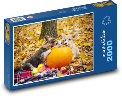 Corgi psi - šteniatka - Puzzle 2000 dielikov, rozmer 90x60 cm 
