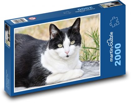 Čierno-biela mačka - Puzzle 2000 dielikov, rozmer 90x60 cm 