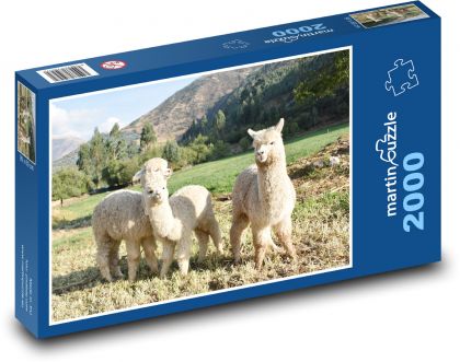 Peru - Alpaca - Puzzle 2000 pieces, size 90x60 cm 