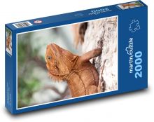 Eidechse - Reptil Puzzle 2000 Teile - 90 x 60 cm