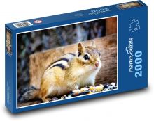 Veverka - hlodavec Puzzle 2000 - 90x60 cm