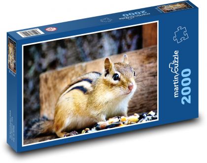 Veverička - hlodavec - Puzzle 2000 dielikov, rozmer 90x60 cm 