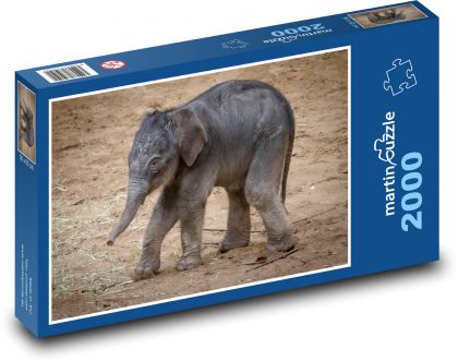 Elephant - chick - Puzzle 2000 pieces, size 90x60 cm 
