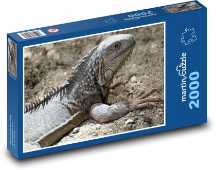 Leguán - jašterica - Puzzle 2000 dielikov, rozmer 90x60 cm 