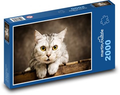 Cat - Pet - Puzzle 2000 pieces, size 90x60 cm 