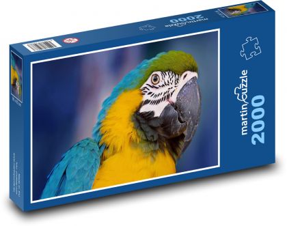 Papagei - Puzzle - 2000 Teile