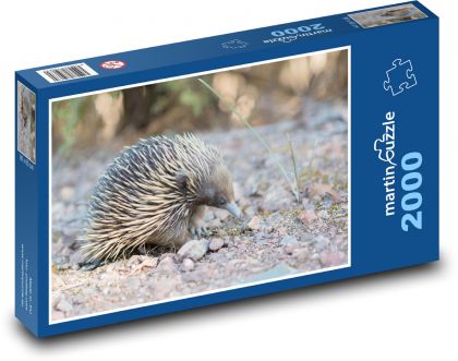 Spiny anteater - Puzzle 2000 pieces, size 90x60 cm 