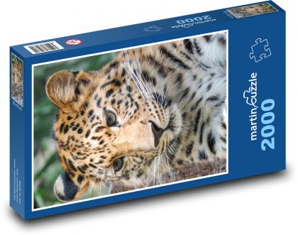 Leopard - Puzzle - 2000 Teile