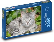 Mačka Puzzle 2000 dielikov - 90 x 60 cm