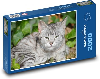 Mačka - Puzzle 2000 dielikov, rozmer 90x60 cm 