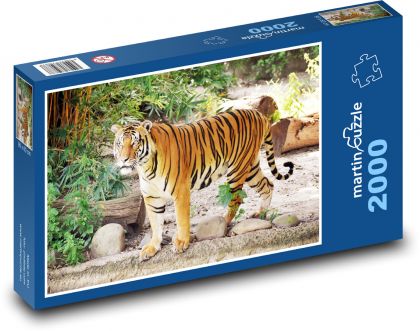 Tiger v zoologickej záhrade - Puzzle 2000 dielikov, rozmer 90x60 cm 