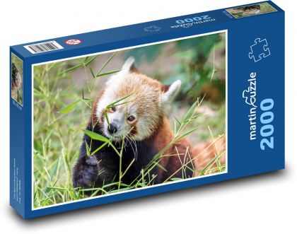 Panda červená - puzzle 2000 dílků