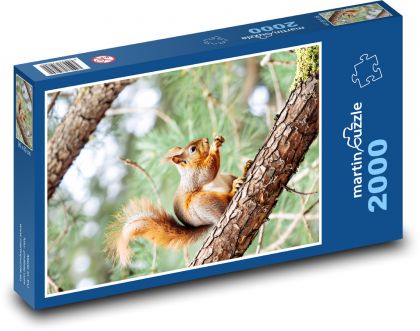 Veverička stromová - Puzzle 2000 dielikov, rozmer 90x60 cm 