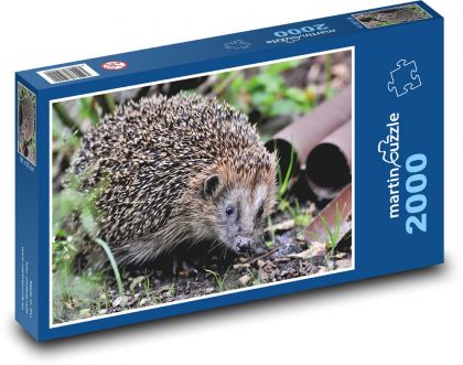 Ježko v prírode - Puzzle 2000 dielikov, rozmer 90x60 cm 
