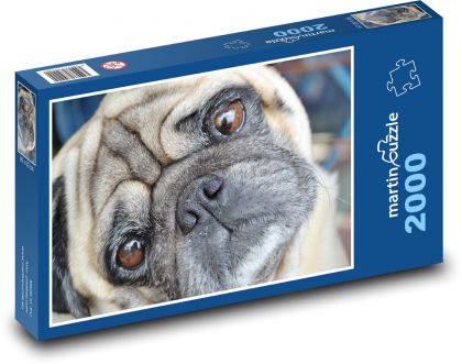 Mops - pes - Puzzle 2000 dielikov, rozmer 90x60 cm 