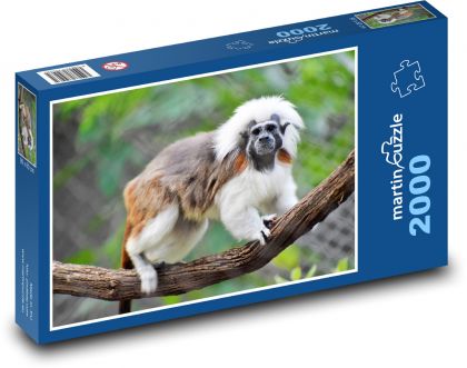 Bavlnený tamarín - Puzzle 2000 dielikov, rozmer 90x60 cm 